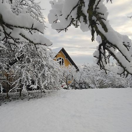 Biohof Koller Villa Weichselbaum Exteriör bild