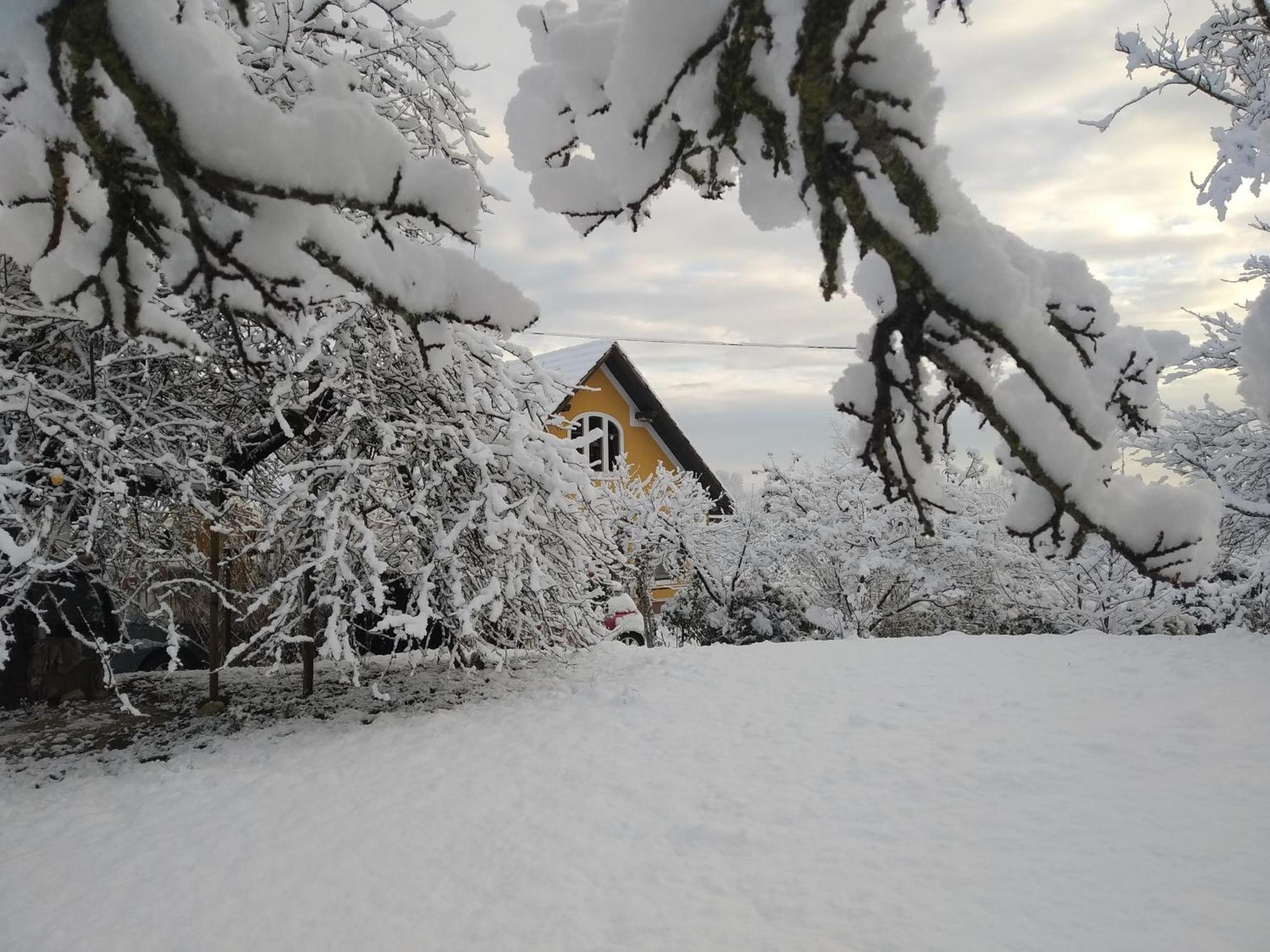 Biohof Koller Villa Weichselbaum Exteriör bild