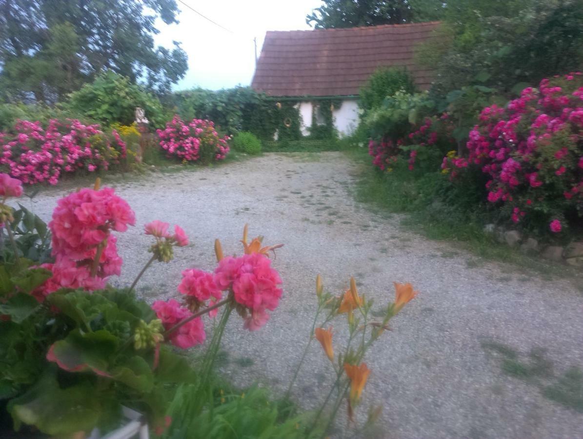 Biohof Koller Villa Weichselbaum Exteriör bild